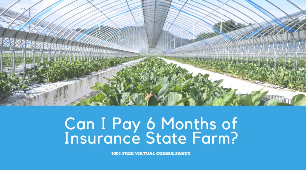 Can I Pay 6 Months of Insurance State Farm
