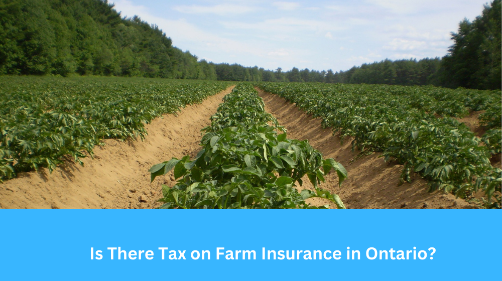 Is There Tax on Farm Insurance in Ontario?