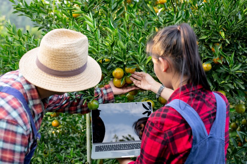 Crop Insurance Ontario Protecting Farmers from Financial Loss and Uncertainty