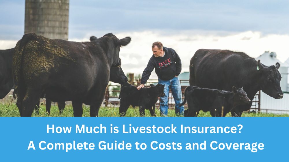 How Much is Livestock Insurance? A Complete Guide to Costs and Coverage