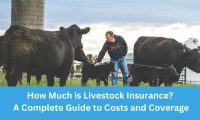 How Much is Livestock Insurance? A Complete Guide to Costs and Coverage