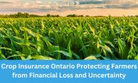 Crop Insurance Ontario Protecting Farmers from Financial Loss and Uncertainty