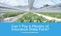 Can I Pay 6 Months of Insurance State Farm?
