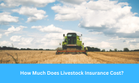How Much Does Livestock Insurance Cost?