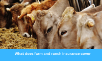 What does farm and ranch insurance cover?