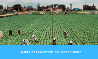 What Does Livestock Insurance Cover?