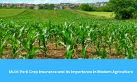 Understanding Multi-Peril Crop Insurance and Its Importance in Modern Agriculture