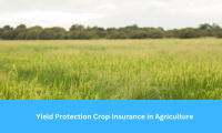 The Importance of Yield Protection Crop Insurance in Agriculture