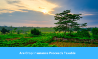 Are Crop Insurance Proceeds Taxable?