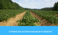 Is There Tax on Farm Insurance in Ontario?