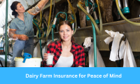 The Ultimate Guide to Dairy Farm Insurance for Peace of Mind