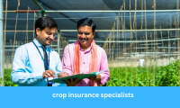 Crop Insurance Specialists Helping Farmers Secure Their Future