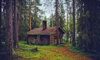 The Best Home Insurance You Need in 2025: Comprehensive Protection for Every Stage of Life