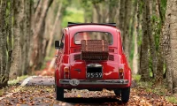 Best Car Insurance in Windsor Ontario: Your Ultimate Guide